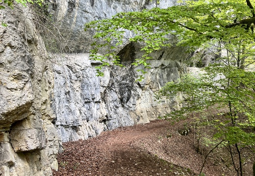 23-05-20 10-51-38 5478